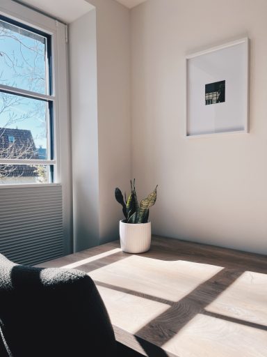 Heller Raum mit Fenster, Pflanze in einem Topf und einem Bild an der Wand.